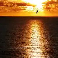  弹琴吧双排键独奏荒野七侠