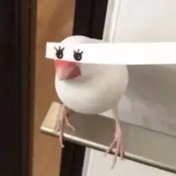  00后最爱的情侣头像,班主任都赞不过来了总有一款适合你