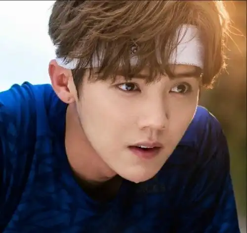  鹿晗满脸硅胶感引热议,剪坏刘海滤镜厚,生图还能叫顶流吗