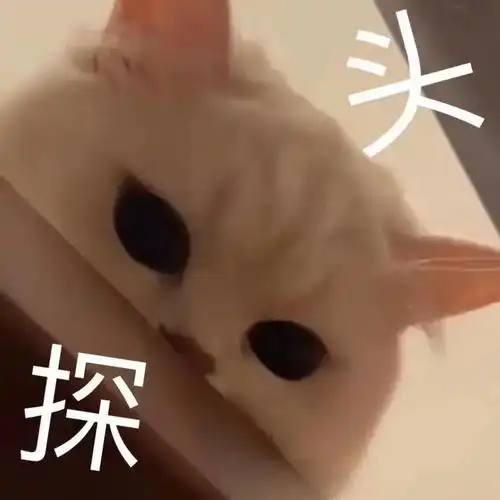 表情包让我看看又是谁在搞事情