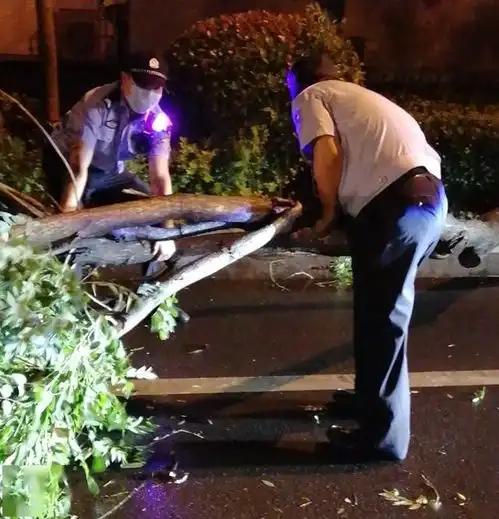  狂风暴雨中的坚挺你的平安就是我们最坚强的动力