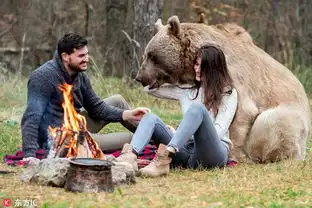  让成人开始读书,为什么那么难
