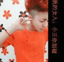  随风视频直播全集随风资料大全yy官方