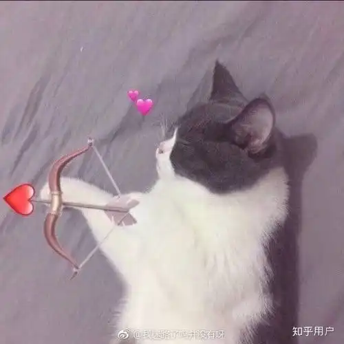  不发动态的男生怎么追