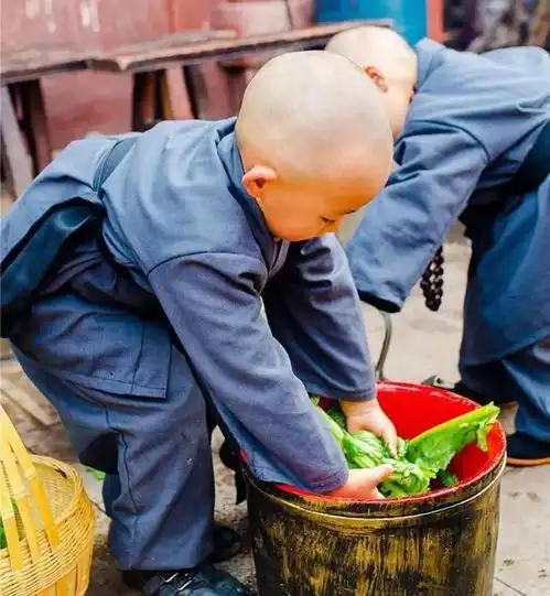  我没舍利子,别烧星云大师留遗言,弟子不听,结果烧出25颗佛法出家法师佛光山网易订阅