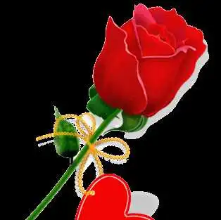  只倾心不倾城视频直播全集只倾心不倾城资料大全yy官方