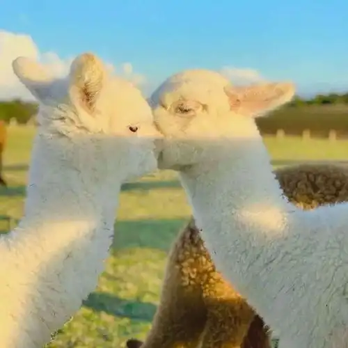  好看朋友圈背景1.12