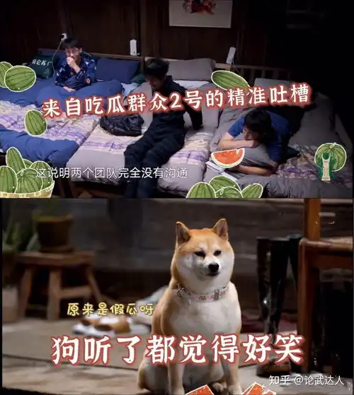  绯闻恋情成真张艺兴杨紫节目中穿同款睡衣,黄磊在线催婚