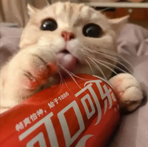  百分百搞笑的沙雕闺蜜头像开黑头像,根本停不下来