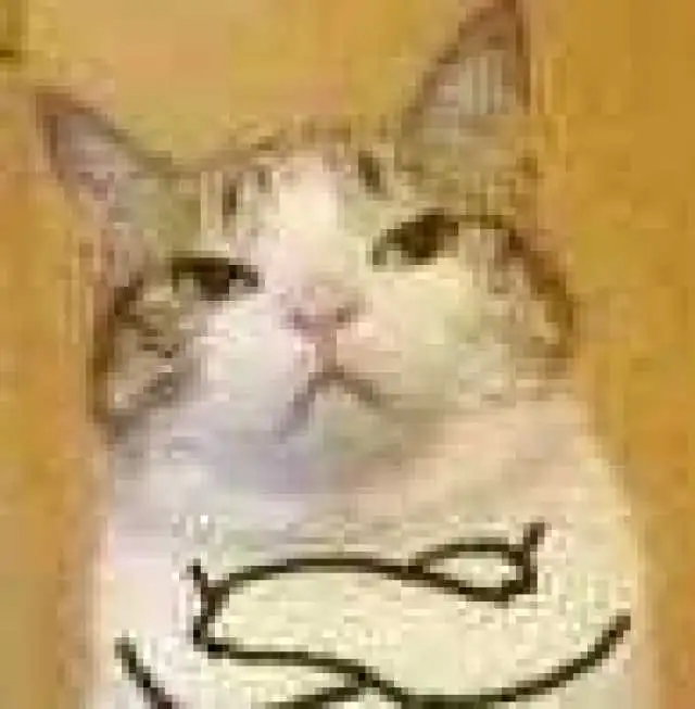  不可爱不卡通但是很特别的狗年情侣头像,撒狗粮我们是认真的