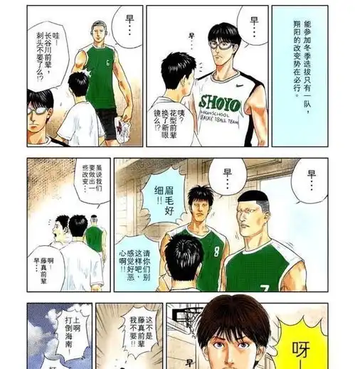 灌篮高手神奈川冬季选拔赛上,湘北与翔阳争雄,海南沦为鱼腩