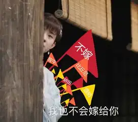  赵丽颖冯绍峰猝不及防换成情侣头像,与知否上演甜蜜剧情