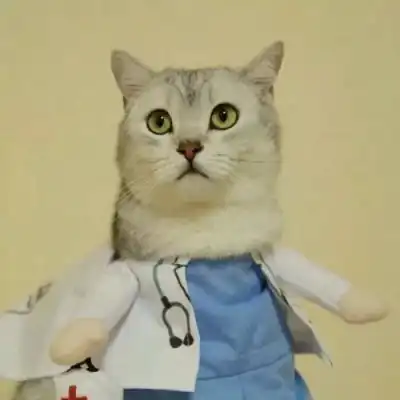  可爱动物萌情头