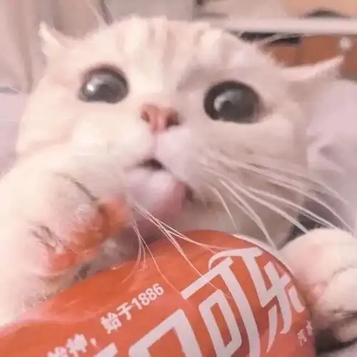 头像情侣好事多磨