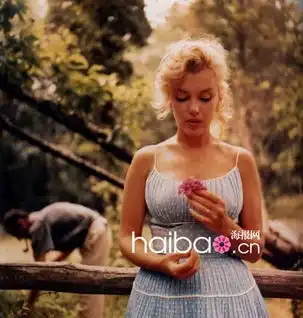  daniel的博客舍不得mtime时光网