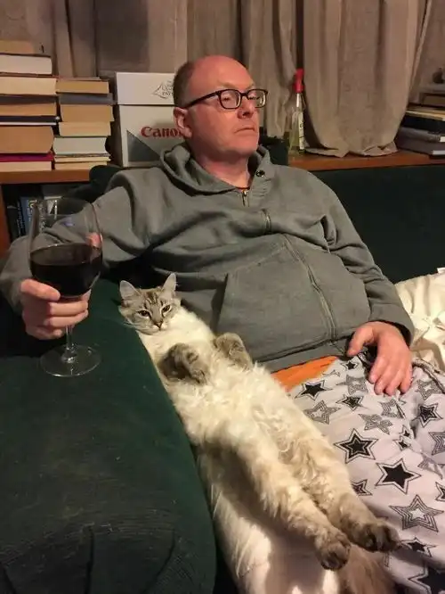  一组让你心情大好的猫咪图片有猫的生活真是太欢乐了