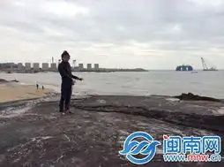  情侣海边放孔明灯遭持刀抢劫团伙4人落网最小15周岁