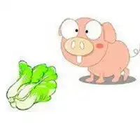  小猫辛辛苦苦抢了一块白菜帮陈情令猪和大白菜什么梗什么意思蓝家一共几颗白菜被拱了