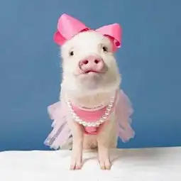  简历列表京通招聘网