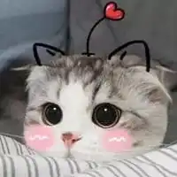 可爱头像猫可爱头像猫咪女生头像
