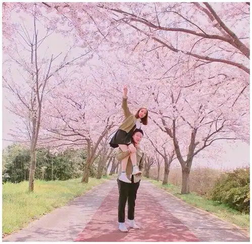  妻子出轨四次,无奈选择离婚,终于悟透了婚姻真相