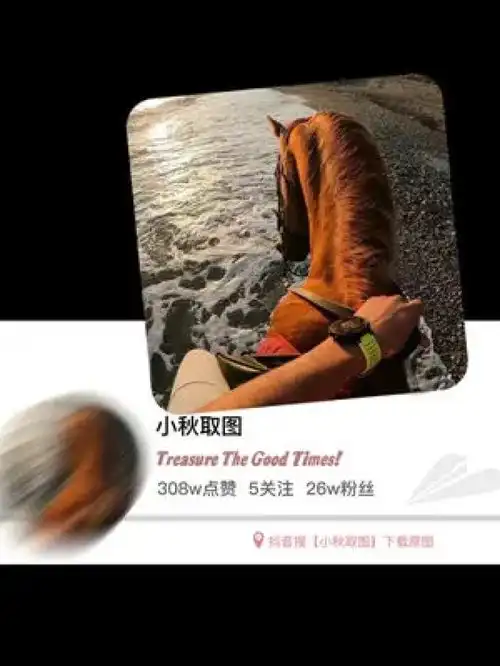  搜口令1934氛围感拉满的头像帅就完事了