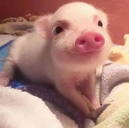  情侣头像能遇到一个可以分享快乐的人太不容易了