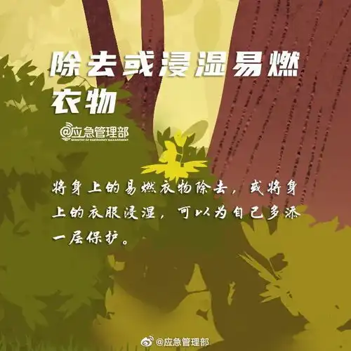 应急科普森林防火你我能做些什么