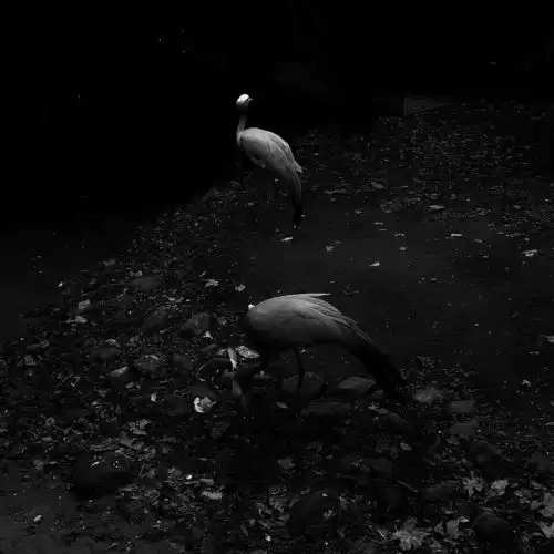  暗黑背景图喜欢修暗调的宝来看看