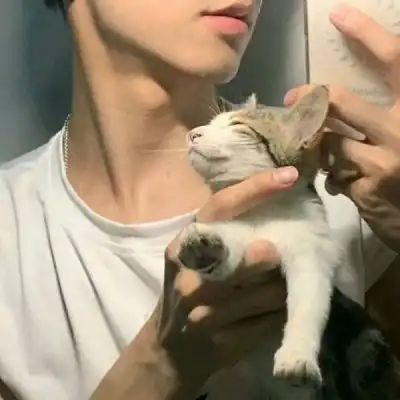  2024男头图片大全头像控