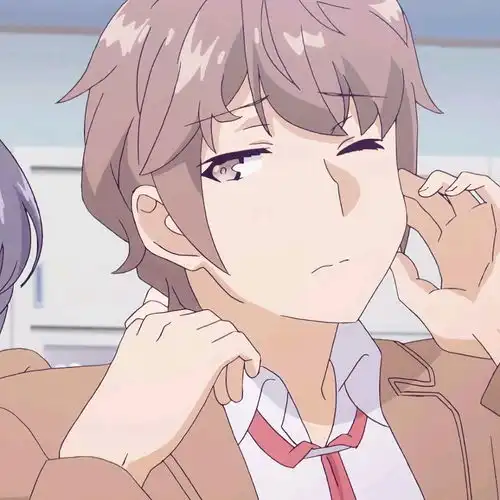  青春猪头少年不会梦到兔女郎学姐樱岛麻衣梓川咲太1