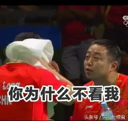  湾湾口中的胖子洪金宝领衔用实力逆袭的明星