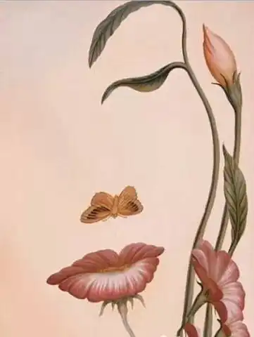  神秘画中画只有高智商的人才能看懂