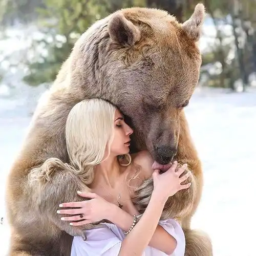  生死时刻,北美灰熊舍命救恩人,大战草原狼