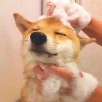 收藏夹
