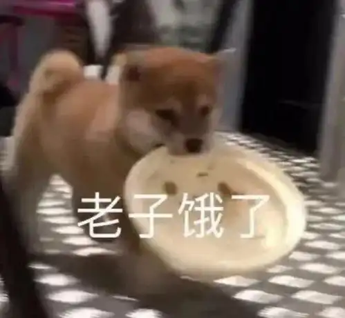  在大叔歌声和大哥打呼声中夹缝生存的可怜人表情...