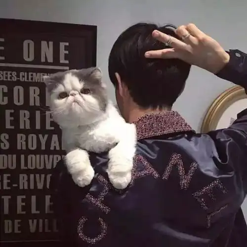  男生头像你对象情商低的时候是什么样的