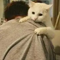  抱猫咪的男生头像微信头像图片大全