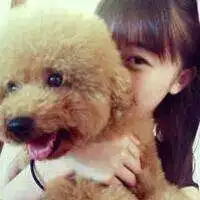  能帮我找一下这个头像的另一半情头吗谢谢啦超急