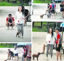  郑爽张翰宋茜尼坤有望修成正果的明星情侣