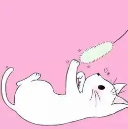  尼日利亚黑里俏视频直播全集尼日利亚黑里俏资料大全yy官方