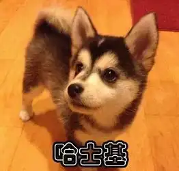 这些哈,因为得罪地球人,竟然被........
