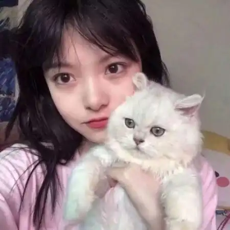  女生抱猫头像,女生抱猫头像真人