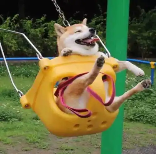  情侣头像一男一女