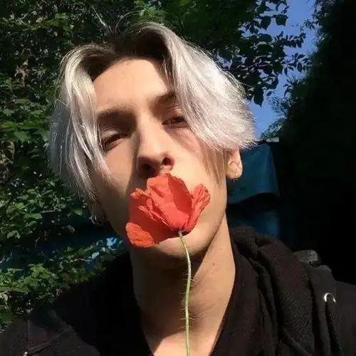  ins欧美头像大全