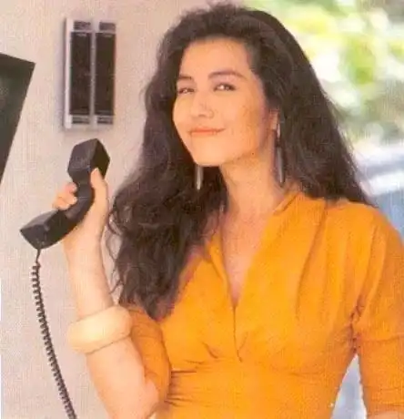  年轻的时候香港女星颜值有多高