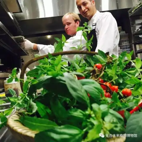  情人节,来这间森林约会