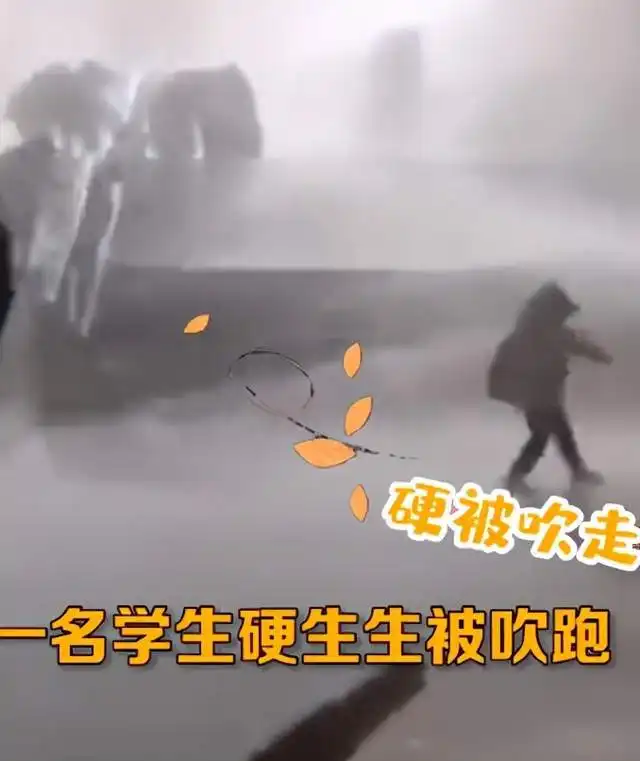  没事还敢走两步大学生在校园内被狂风暴雪吹走