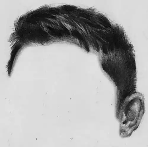  素描头像头发的处理技巧