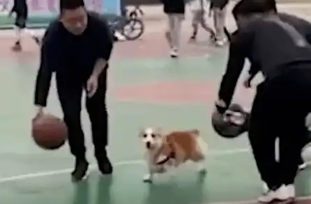  小情侣在马路上秀恩爱,下一秒你们别笑